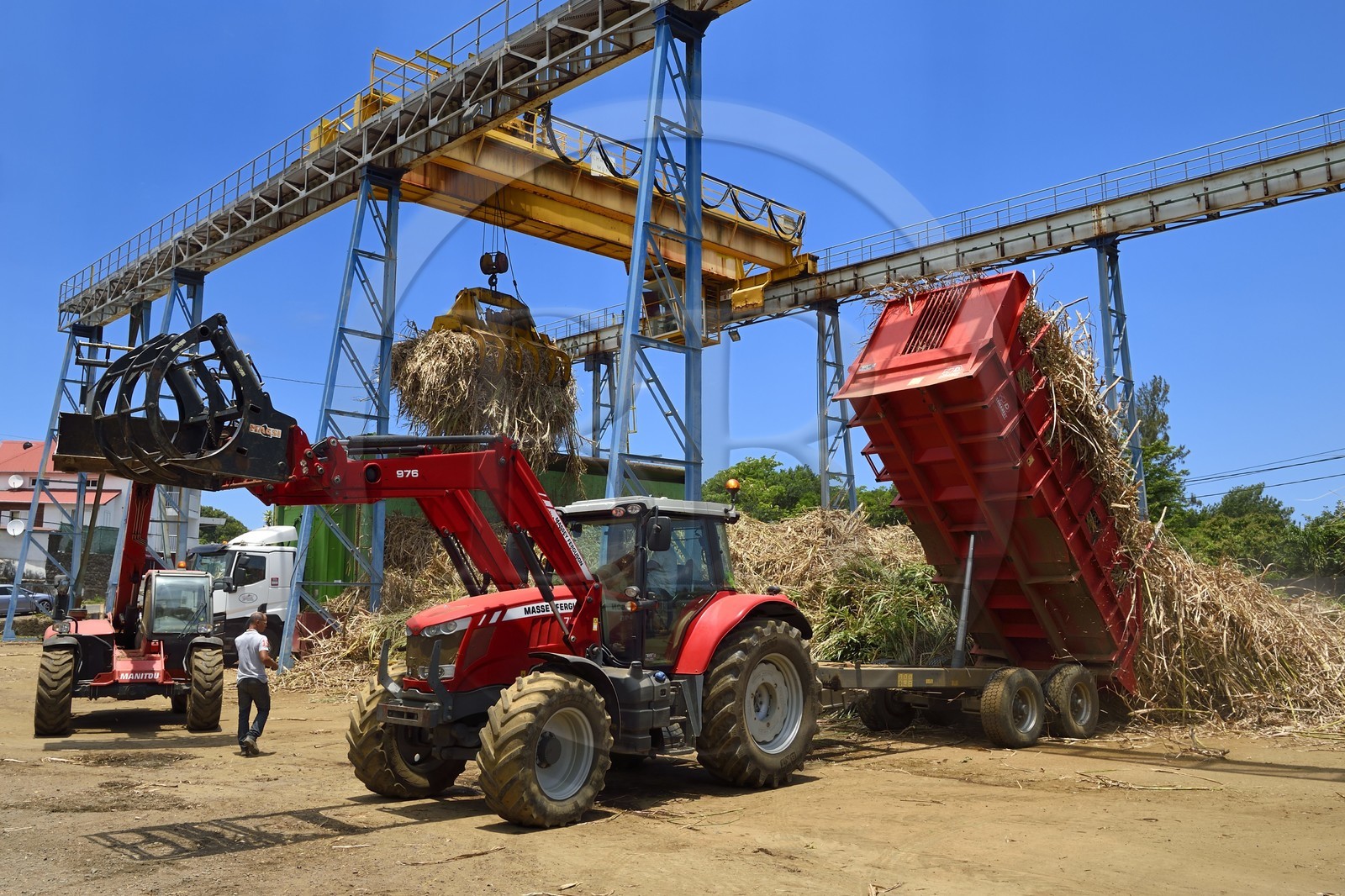 France, Reunion island (French overseas department), Saint-Joseph, one of the 11 sugar cane reception and collection centers also called Balance, the tractors bring the cane from the fields in trailers, it is then weighed and loaded in large trucks called cachalots to be transported to the sugar factory Gol