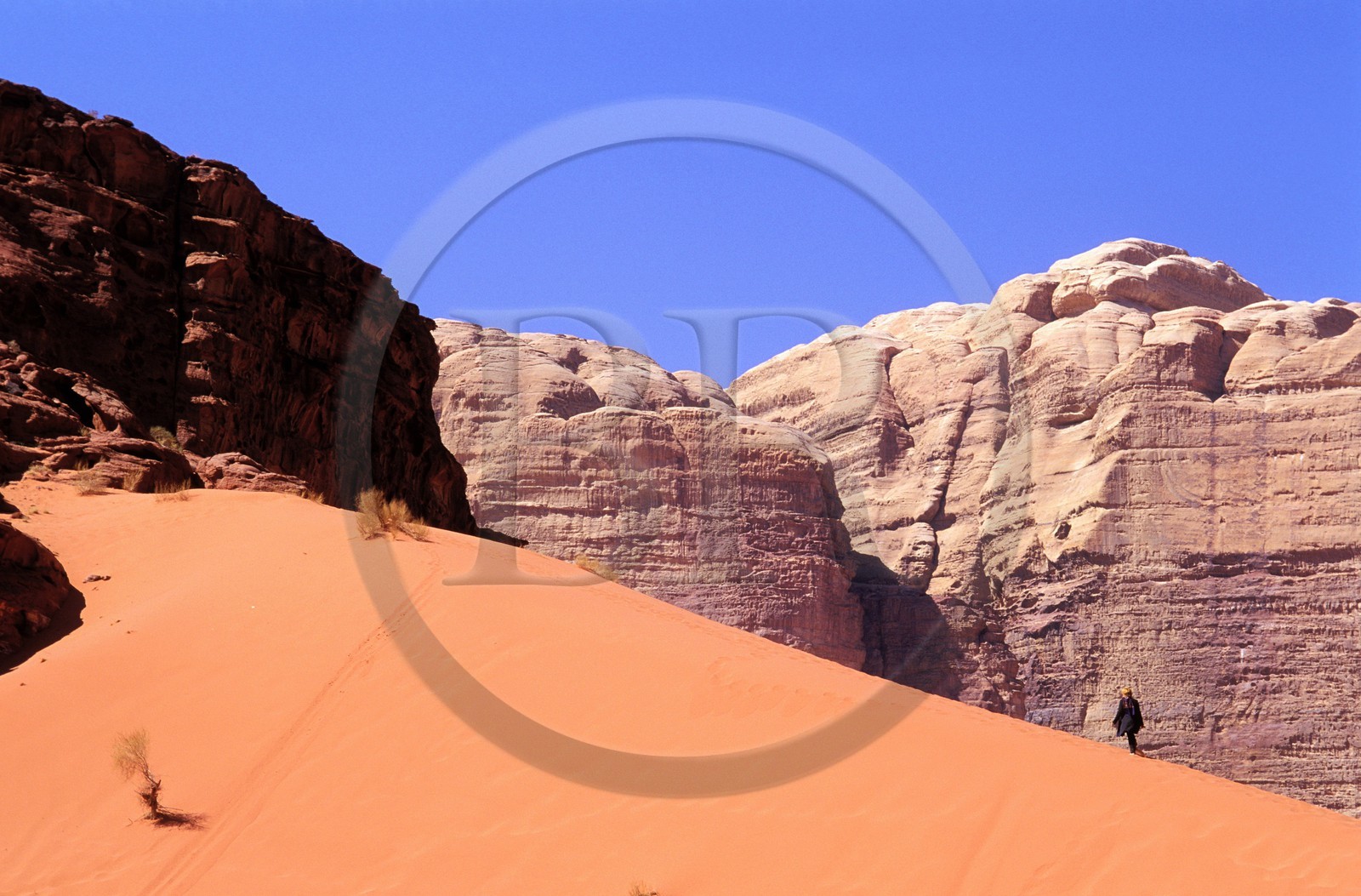 Jordanie, le Wadi Rum, un touriste découvrant les sensations du désert sur une dune de sable rouge