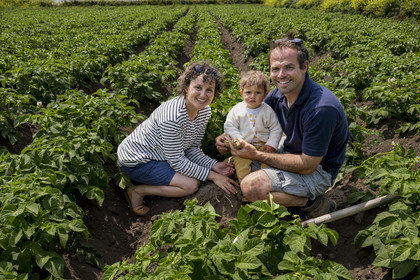 France, Finistère (29), Mer d'Iroise, archipel de Molène, Ile de Quéménès, ferme de Quéménès bio et autonome en énergie, les agriculteurs Amélie Goossens et Etienne Menguy dans leur champ de pommes de terre