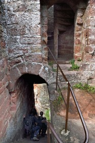 France, Bas Rhin, Northern Vosges Regional Natural Park, Niedersteinbach, Steinbach national forest, Wasigenstein Castle ruins