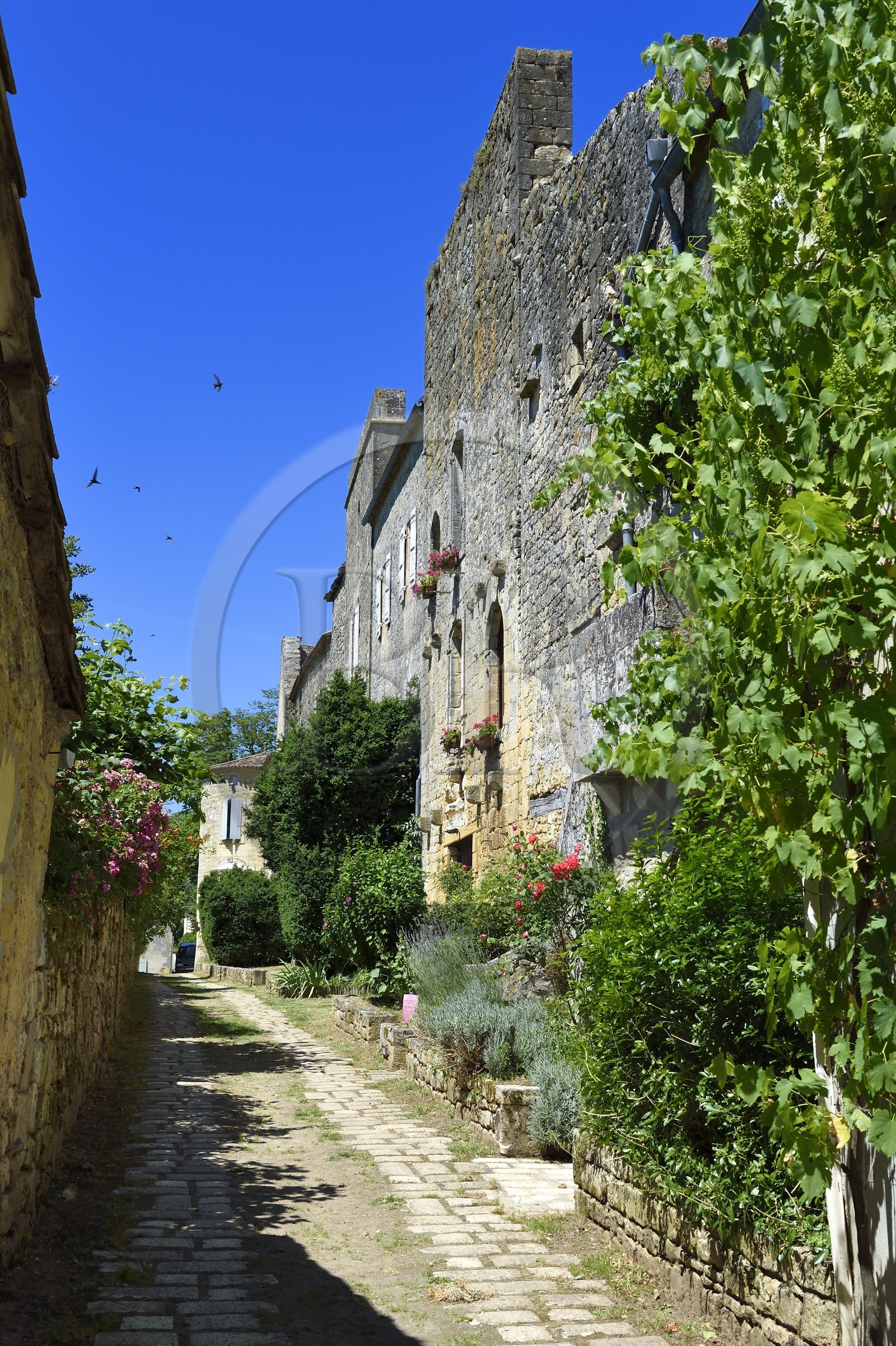 France, Dordogne, Perigord Pourpre, Beaumont du Perigord, fortified houses within the ancient walls of the bastide
