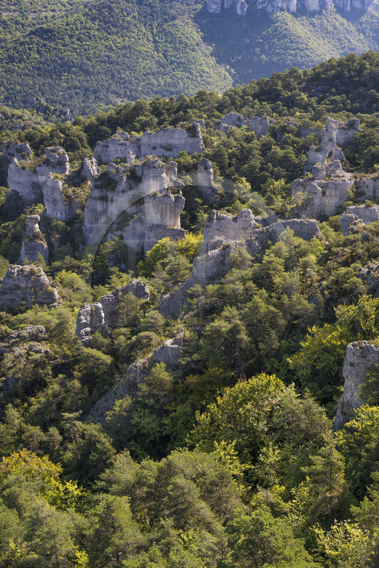 France, Aveyron (12), Causses et les Cévennes, paysage culturel de l'agro-pastoralisme méditerranéen, classés Patrimoine Mondial de l'UNESCO, Causse Noir, La Roque-Sainte-Marguerite, chaos de Montpellier-le-Vieux, la Cité de Pierres