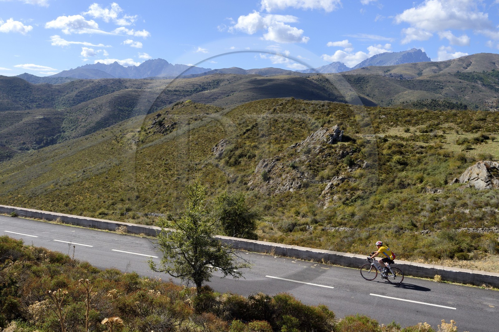 France, Haute Corse, Balagne, cyclist at the Colombano pass on the N197 road
