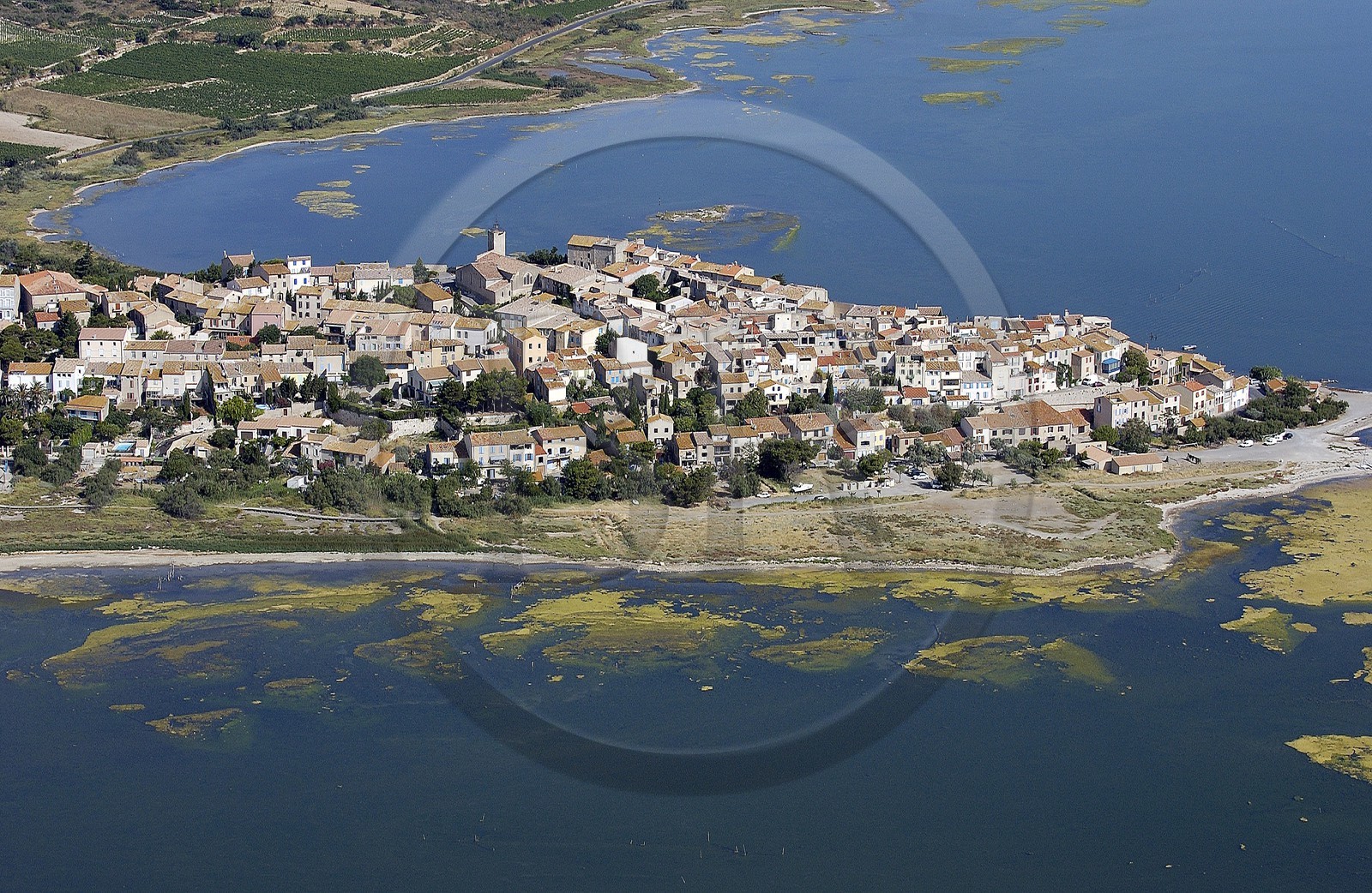 France, Aude (11), village de Bages au bord de l'