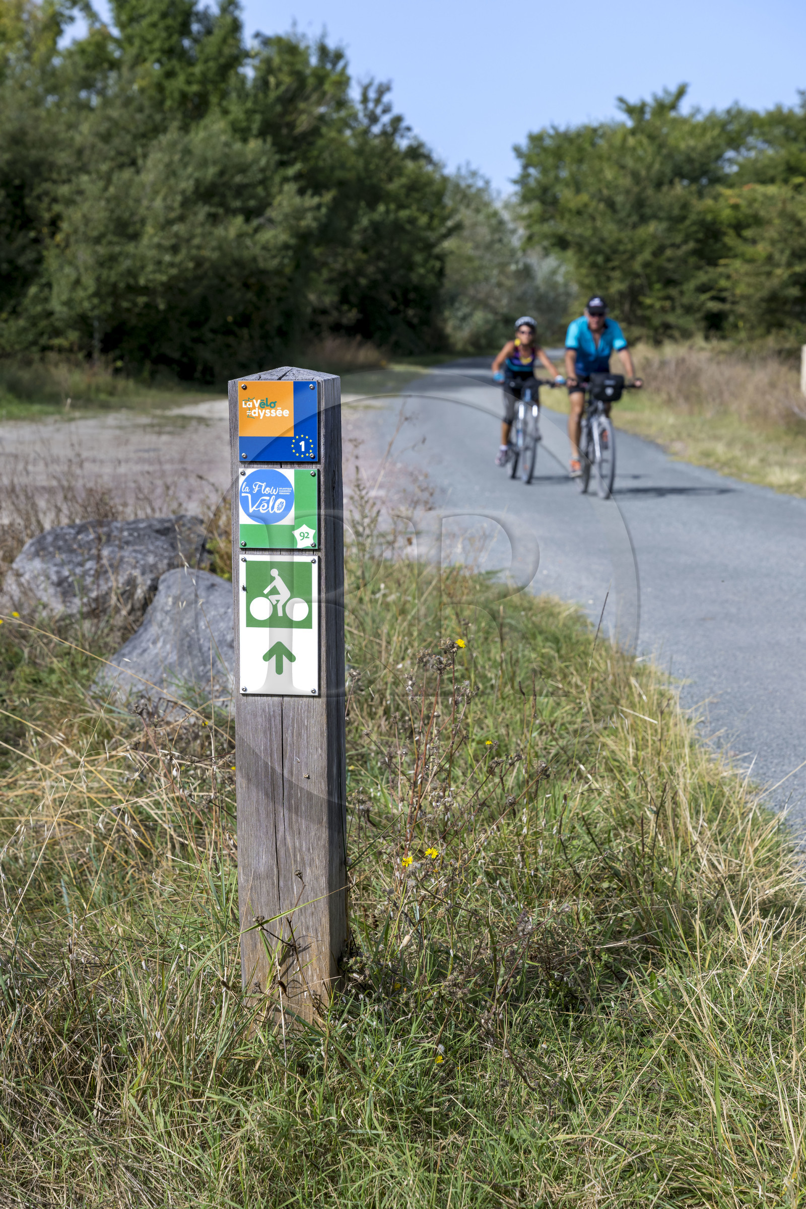 France, Charente-Maritime (17), Saint-Laurent-de-la-Prée, piste cyclable de la Vélodyssée et de la Flow vélo