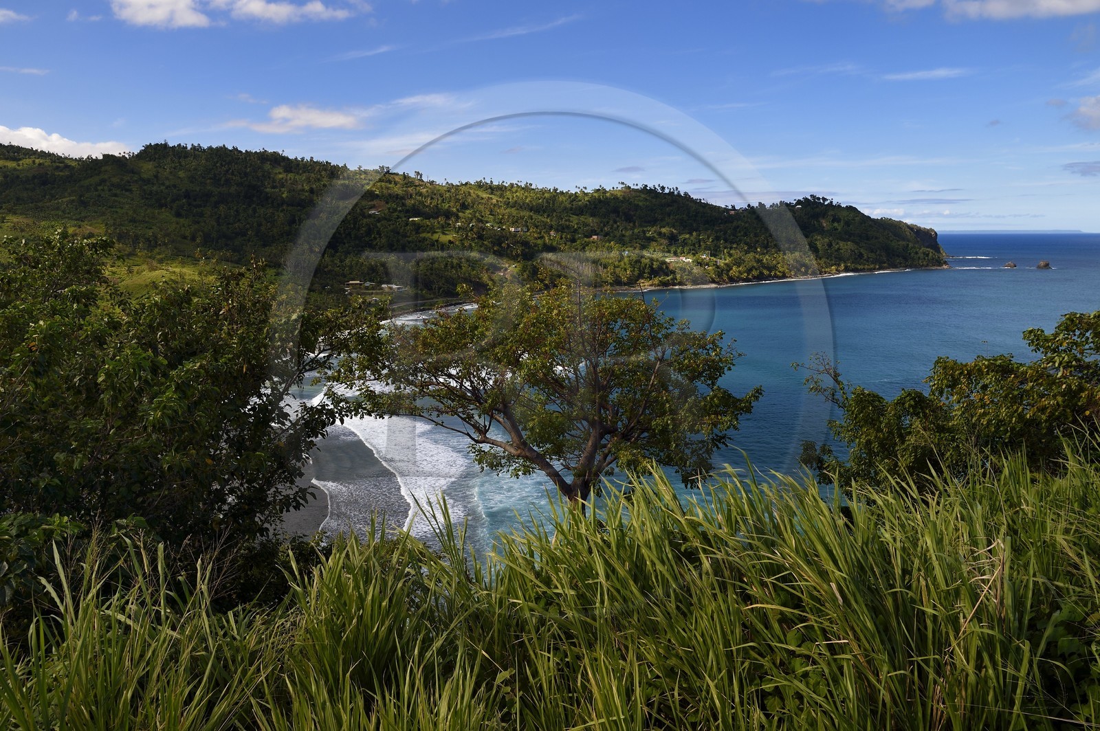 Caraïbes, Ile de la Dominique, côte Est, Baie de Pagua