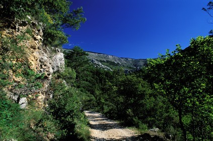 France, Alpes-Maritimes (06), l' authentique Route Napoléon surplombant les Gorges des Sources de la Siagne