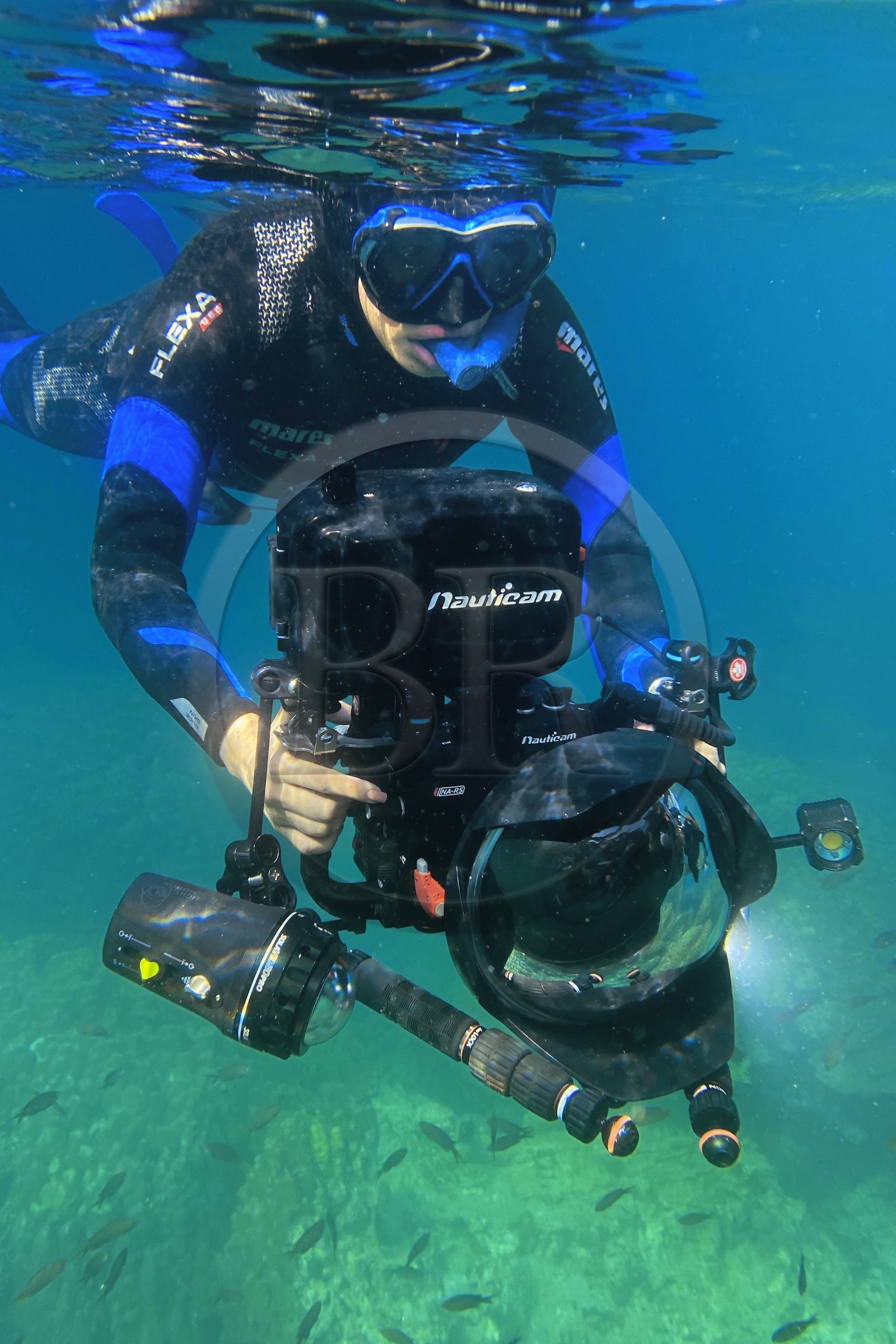 Sultanat d'Oman, gouvernorat de Mascate, réserve naturelle des Iles Daymaniyat, la photographe-plongeuse Maisa Al Hooti