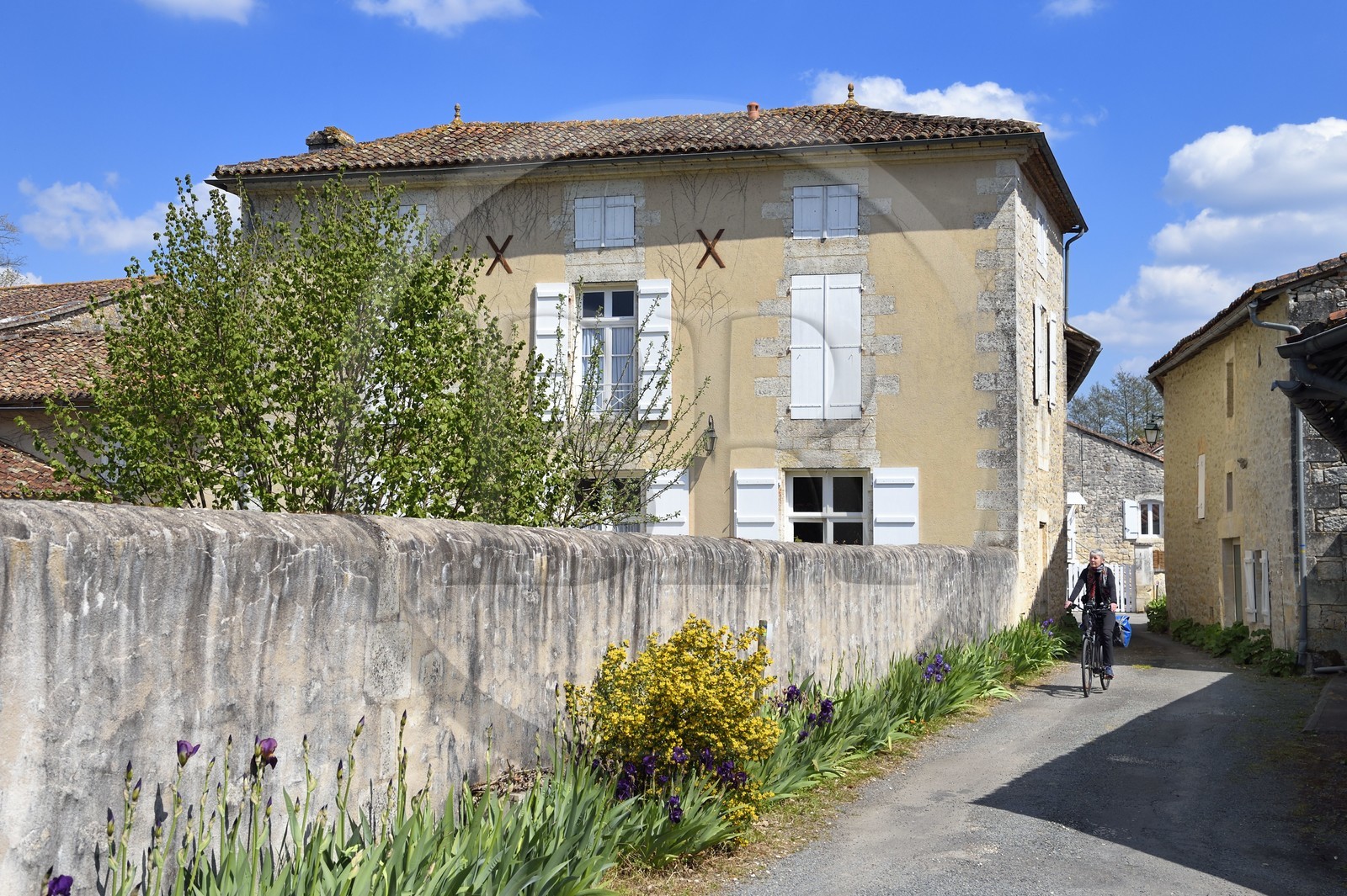 France, Charente (16), cycliste découvrant le village de Feuillade qui borde la véloroute la Flow Vélo