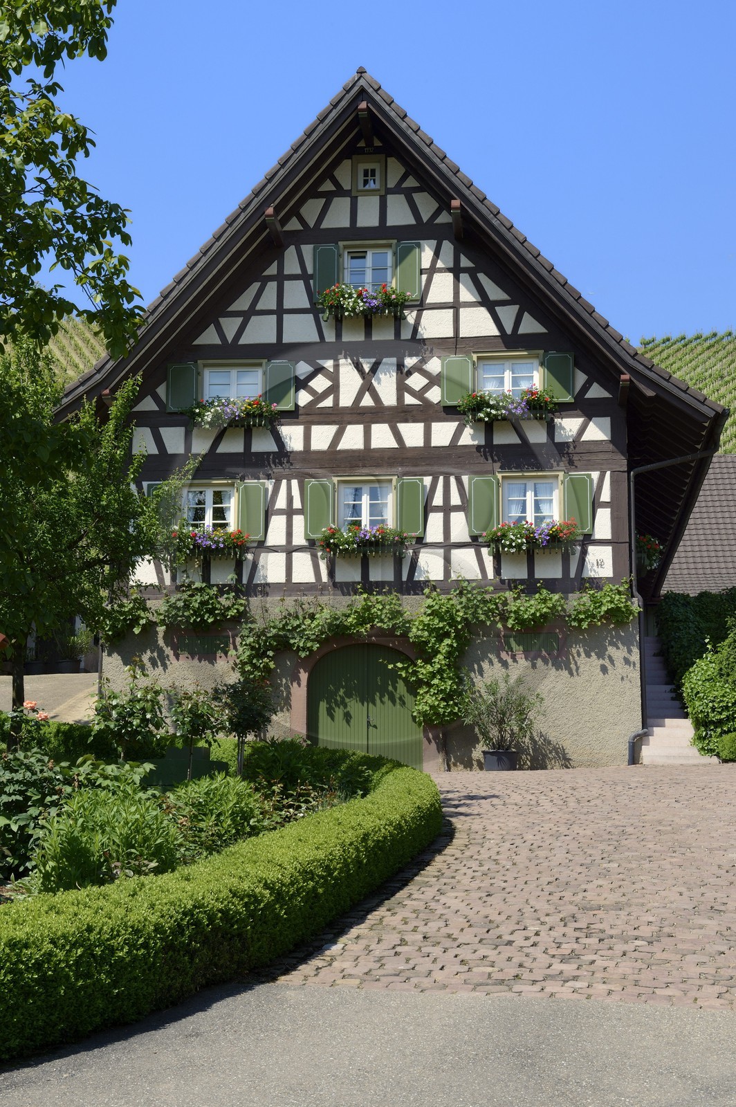 Germany, Baden-Wurttemberg, Durbach, half timbered farm