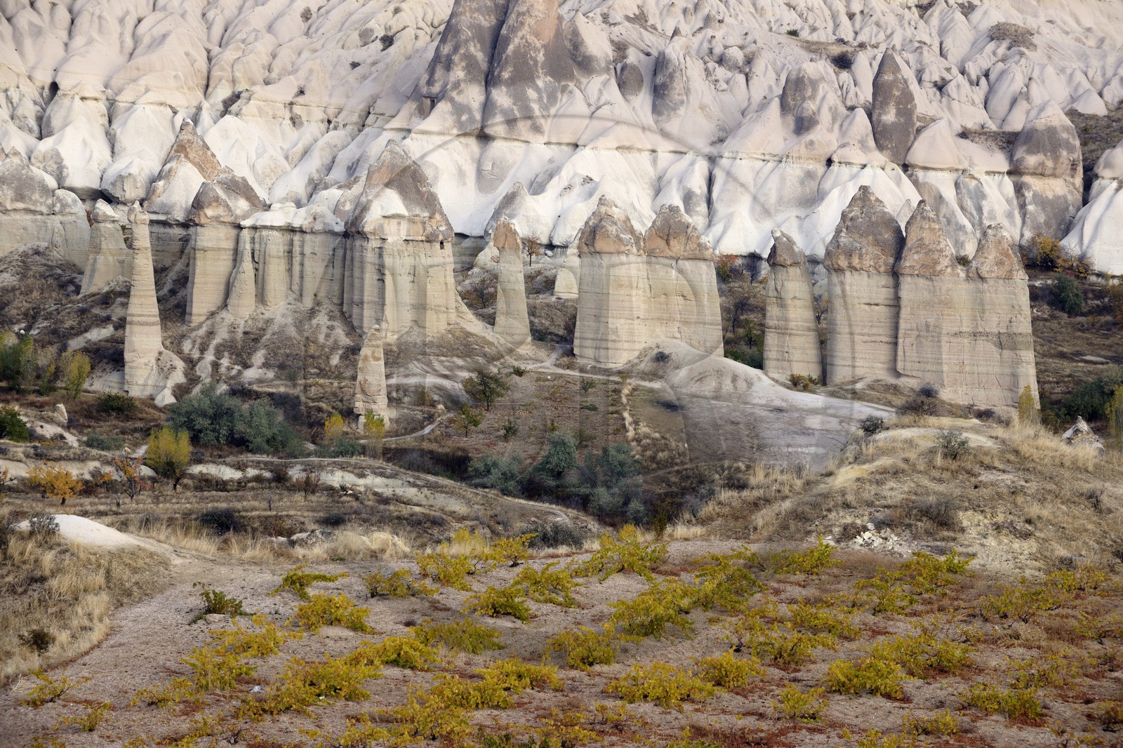 Turquie, Anatolie Centrale, province de Nevsehir, Cappadoce classée Patrimoine Mondial de l'UNESCO, environs d'Uçhisar, vallée de l'Amour, paysage d'érosion et cheminées de fées (vue aérienne)