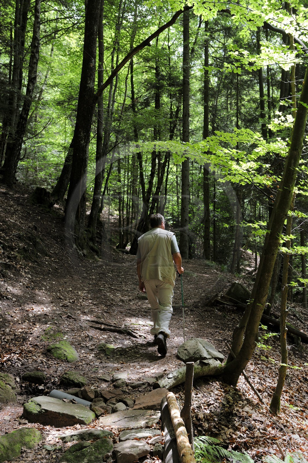 France, Vosges (88), chemin des passeurs au Donon sur la trace de la filière d'évasion du Rehtal