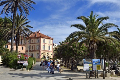 France, Var (83), Iles d'Hyères, parc national de Port Cros, Ile de Porquerolles, village de Porquerolles