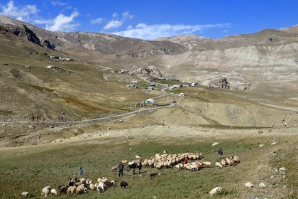 Azerbaijan, Quba (Guba) region, Greater Caucasus mountain range, along Xinaliq Yolu road towards Khinalug, village of Jek, shepherds family with their flock of sheep