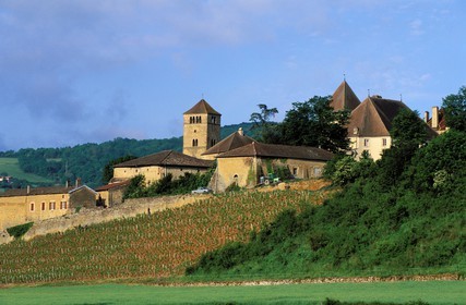 France, Saone et Loire, Mâcon region, Pierreclos, castle and its vineyard