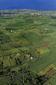 France, Ile de la Reunion, Cote ouest, les champs de cannes à sucre sur les pentes du Tevelave au dessus de piton Saint Leu (vue aérienne)