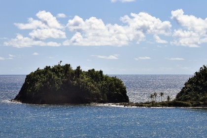 Caraïbes, Ile de la Dominique, Castle-Bruce, la péninsule