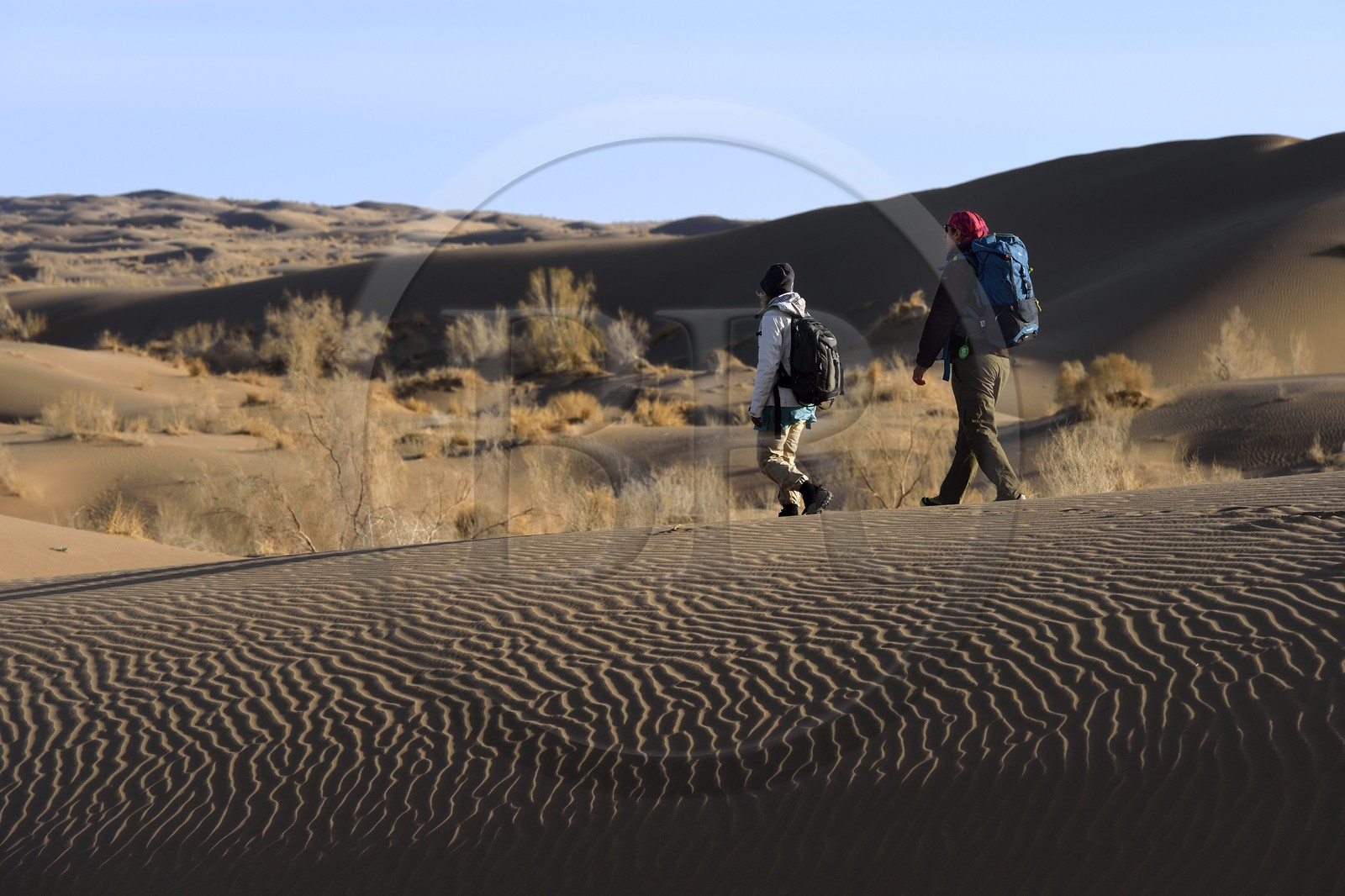 Iran, Province d'Ispahan, désert du Dasht-e Kavir, Mesr dans la région de Khur et Biabanak, randonnée dans les dunes du désert