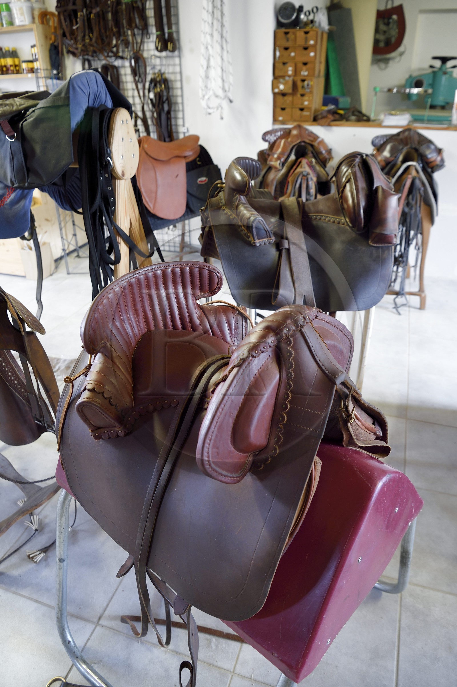 France, Gard, Fourques, Victor Mailhan Saddlery, saddle of camarguais gardian