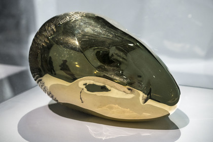 France, Paris, Les Halles district, the Pompidou Center also called Beaubourg, National Museum of Modern Art (MNAM), Brancusi retrospective exhibition, The Sleeping Muse, 1910, polished bronze