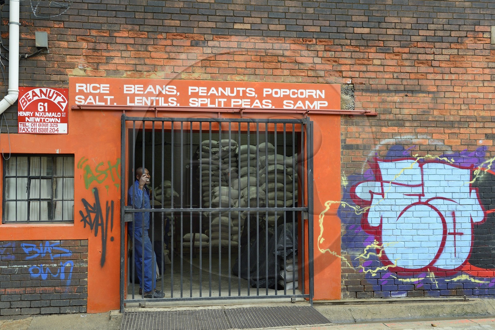 Afrique du Sud, province de Gauteng, Johannesburg, CBD (Central Business District), Newtown, peintures murales sur les murs des entrepots sous l'autoroute M1 De villiers Graaff motorway