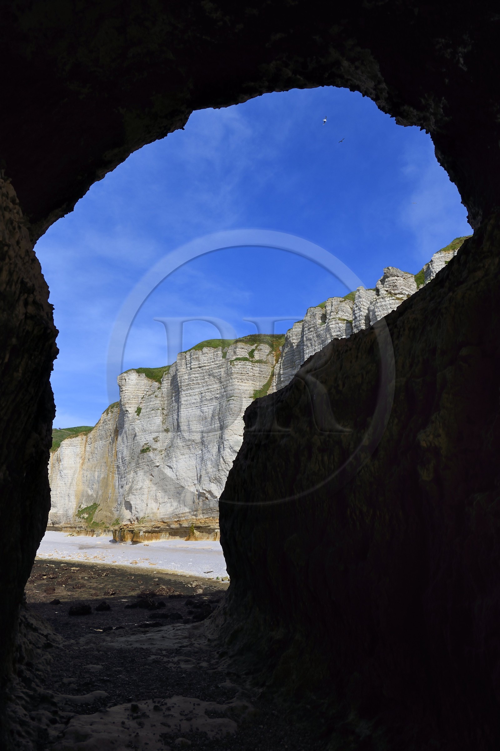 France, Seine-Maritime (76), Pays de Caux, Côte d'Albâtre, Etretat, la alaise d'Aval vue depuis un passage sous la pointe de la Courtine à marée basse