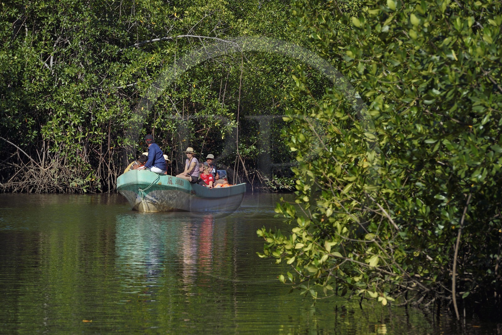 Nicaragua, the Pacific coast of Leon, boat discovery of the Isla Juan Venado Nature Reserve mangrove