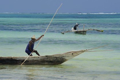Tanzanie, archipel de Zanzibar, île de Unguja (Zanzibar), côte Sud-Est, Bwejuu, pêcheurs sur des dhow (boutre traditionnel)