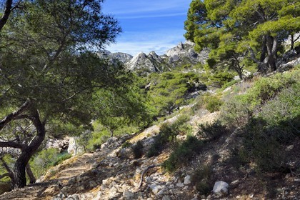 France, Bouches-du-Rhône (13), Marseille, Parc national des Calanques, Calanque de Sormiou