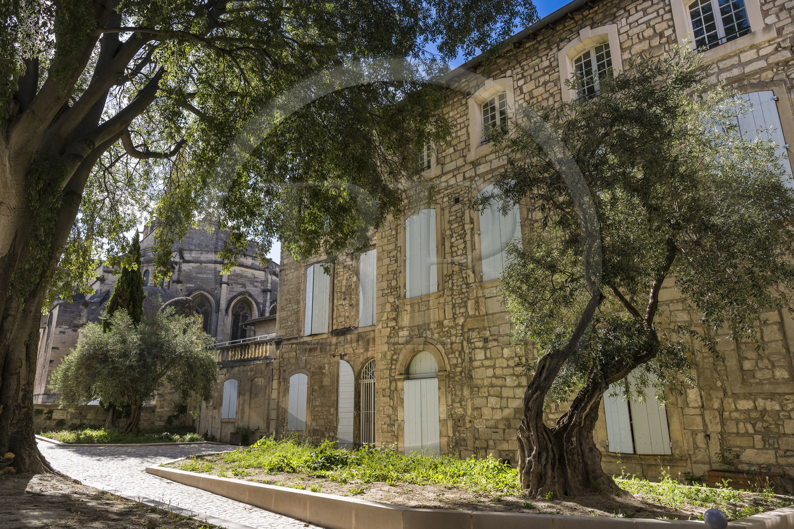 France, Bouches-du-Rhône (13), Tarascon, place Fraga, ancien jardin et cour de l'hotel particulier Sade-Cadillan, la collégiale royale Sainte-Marthe en arrière plan