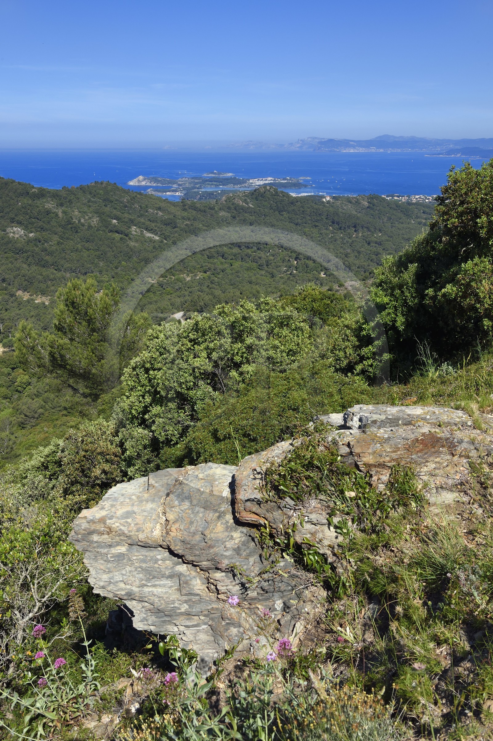 France, Var, Six Fours les Plages, hike in the Cap Sicie massif towards Notre-Dame du Mai chapel, Ile des Embiez in the background