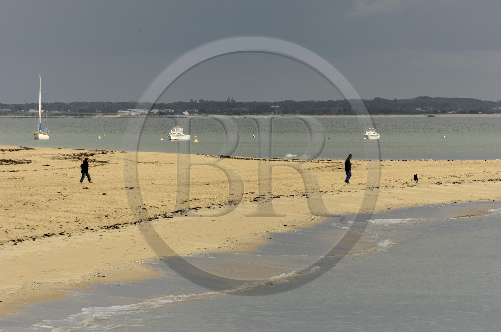 France, Charente-Maritime (17), Ile d'Oléron, pointe de Maumusson