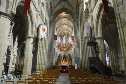 France, Cotes-d'Armor, Treguier, Saint Tugdual cathedral nave