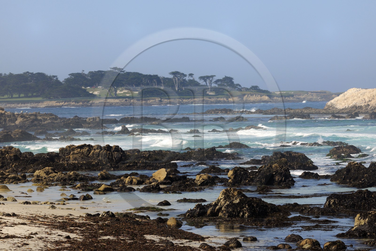 Etats-Unis, Californie, 17 mile drive, Spanish Bay
