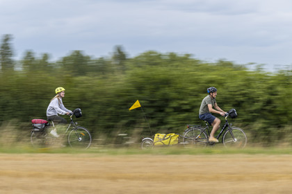 France, Maine-et-Loire (49), vallée de la Loire classée au Patrimoine Mondial par l'UNESCO, Saumur vers Saint-Hilaire, randonnée à bicyclette avec une remorque transportant le matériel de camping