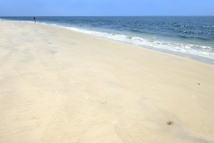Gabon, province de l'Estuaire, crabe sur la plage de la Pointe Denis qui fait face à Libreville de l'autre côté de l'Estuaire du Gabon