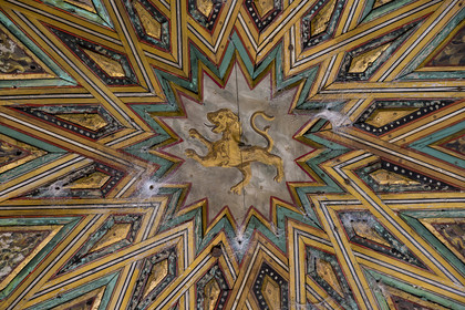 Espagne, Andalousie, Séville, Alcazar de Séville (Reales Alcazares de Sevilla), classé Patrimoine Mondial de l'UNESCO, Palais mudéjar ou de Pierre Ier, plafond colonisé par les araignées