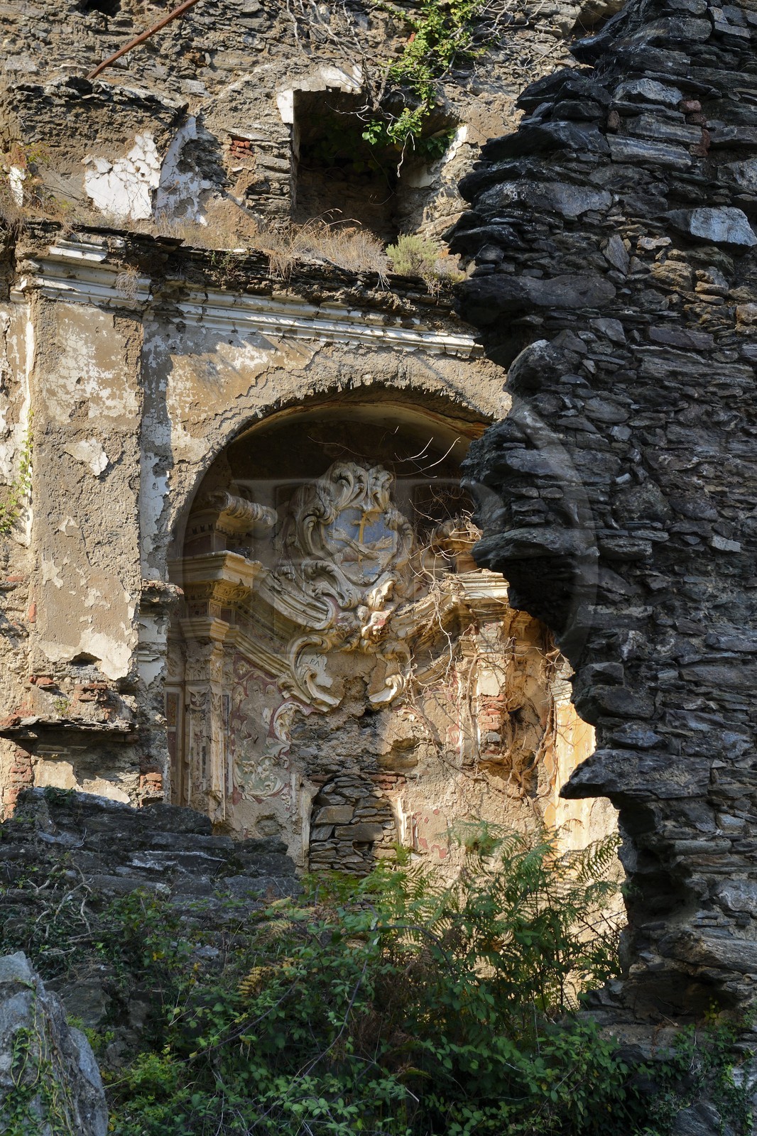 France, Haute-Corse (2B), Castagniccia, Piedicroce, ruines du couvent Saint-François d'Orezza