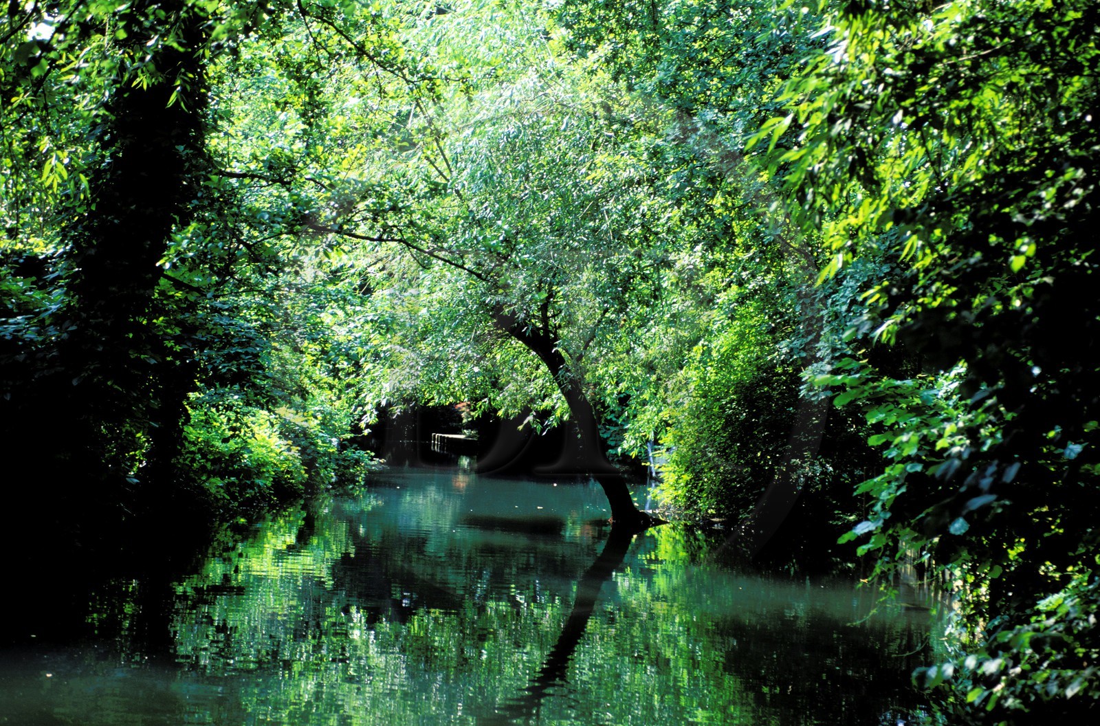 France, Haut Rhin, Colmar, little Venice, district of the Krutenau and the river Lauch