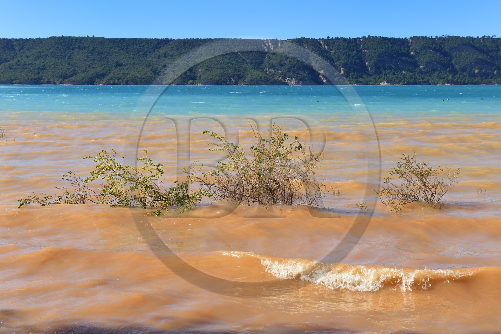 France, Var (83), Parc Naturel Régional du Verdon, lac de Sainte Croix