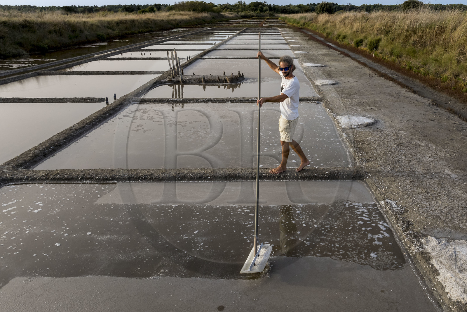 France, Charente-Maritime (17), Ile d'Oléron, Saint-Georges-d'Oléron, cueillette artisanale de la fleur de sel avec une lousse à fleur par le saunier Samuel Barbereau