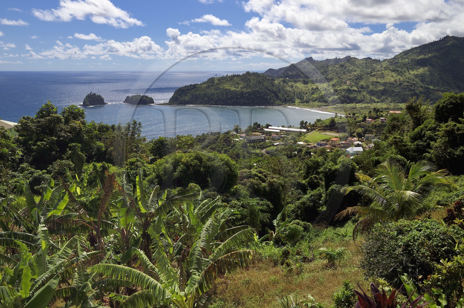 Caraïbes, Ile de la Dominique, Castle-Bruce, l'ancienne plantation devenue village