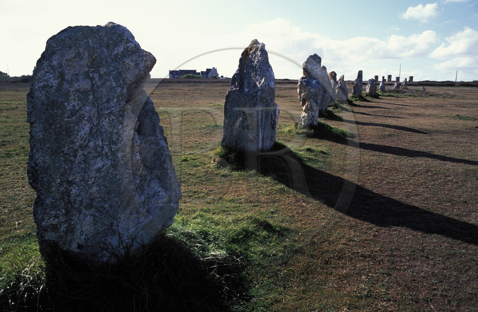 France, Finistere, Crozon Peninsula, lining of standing stones of Lagatjar