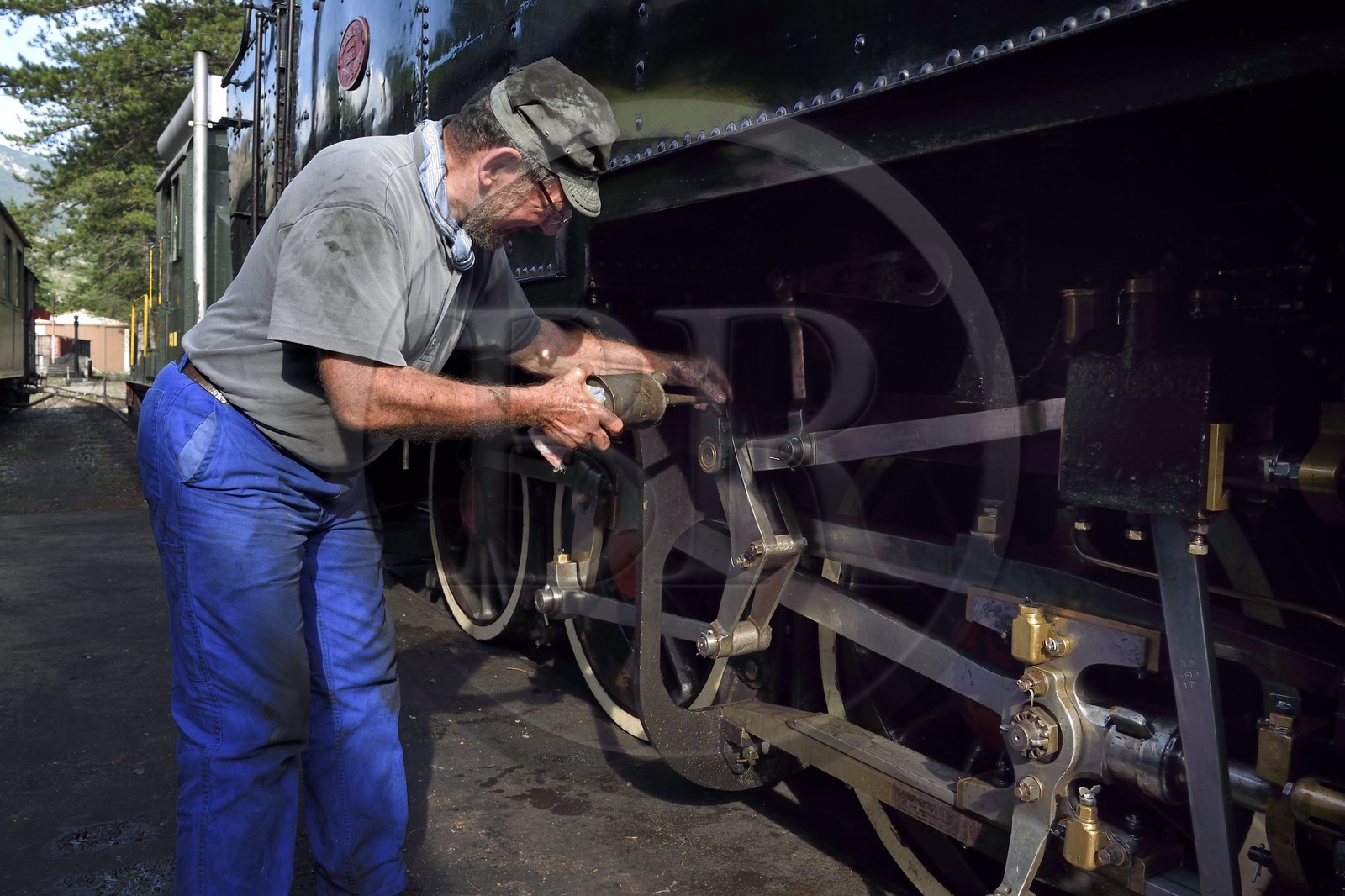 France, Alpes-Maritimes, Puget Theniers, the Train des Pignes historic train, steam engine warming up, lubricating operation