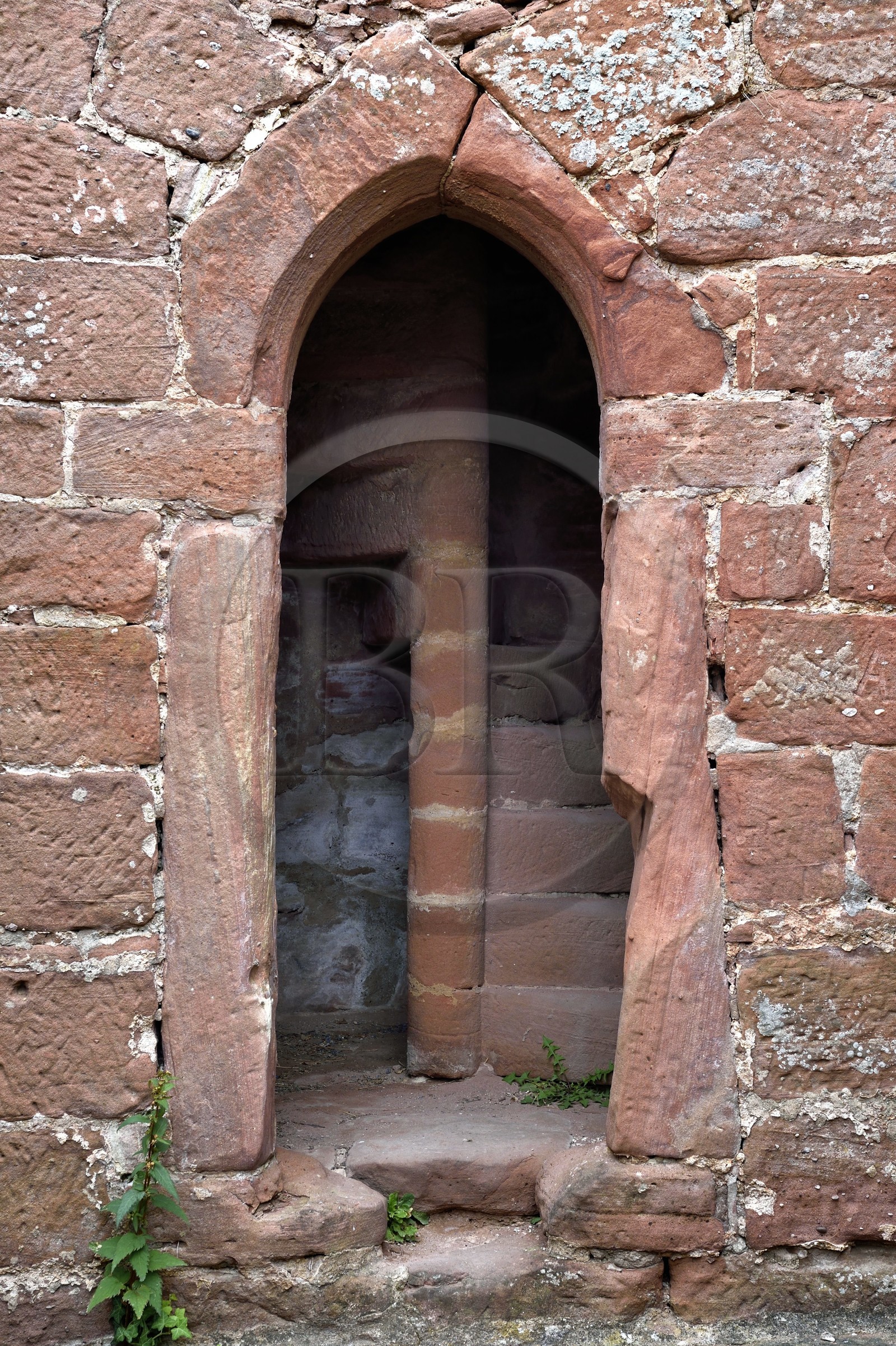 France, Bas Rhin, Northern Vosges Regional Natural Park, Niedersteinbach, Steinbach national forest, Wasigenstein Castle ruins