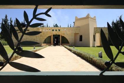 Maroc, région de Meknès, l'Agro-pôle Olivier