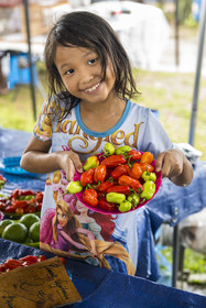 France, Guyane, Javouhey, marché du dimanche Hmong, réfugiés du Laos arrivés en 1978 qui se sont spécialisés dans la culture fruitière, Nancy, 7 ans, présente les produits de l'étal de ses parents