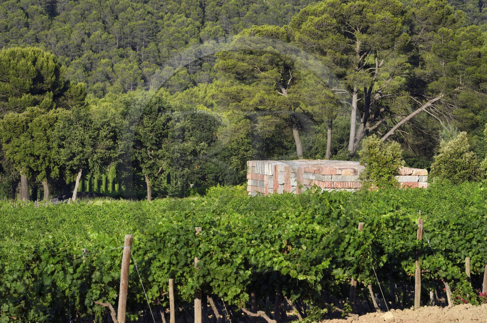 France, Bouches-du-Rhône (13),  Le Puy Sainte Réparade, Chateau La Coste domaine viticole et centre d'art contemporain, Wall of Light Cubed par l'artiste Sean Scully (Mention Obligatoire)