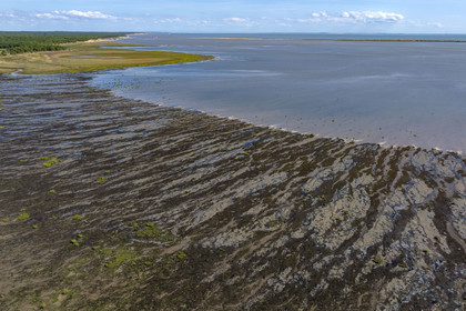 France, Charente-Maritime (17), Royan, Les Mathes, la baie de Bonne Anse à marée basse (vue aérienne)