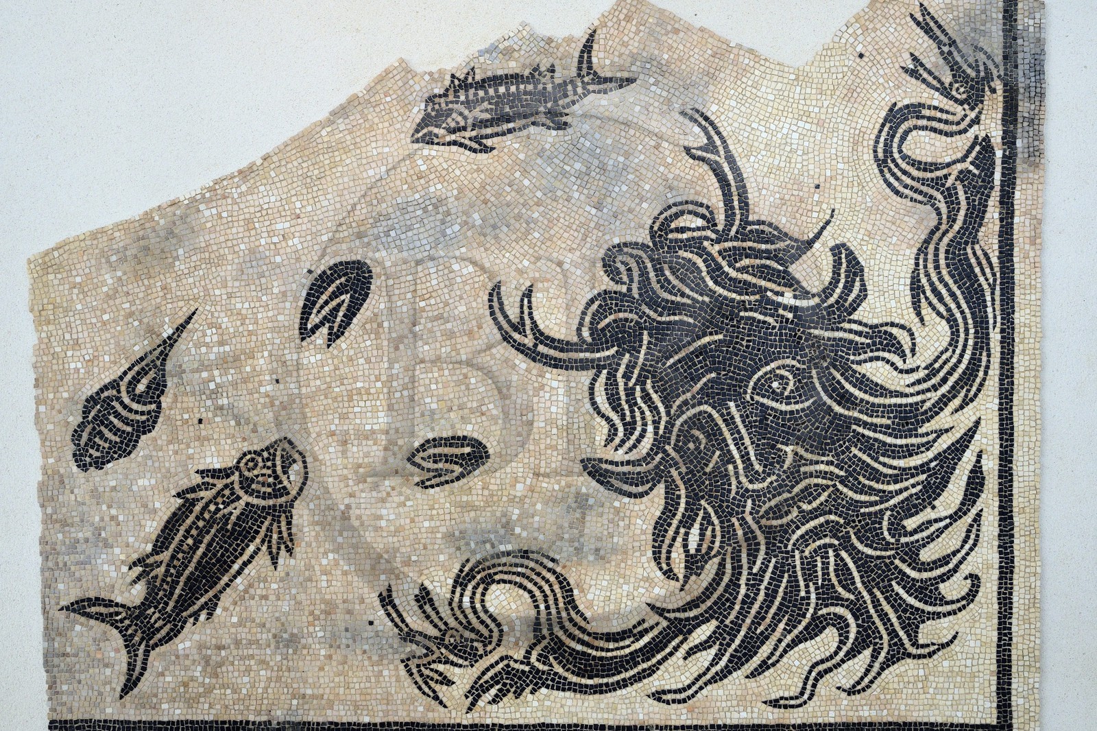 France, Rhône (69), Saint-Romain-en-Gal, musée gallo-romain de Saint-Romain-en-Gal, pavement en mosaïque du Dieu Océan qui recouvrait le sol du vestibule de l’une des plus grandes maisons du site